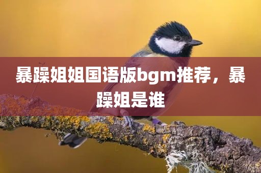 暴躁姐姐国语版bgm推荐，暴躁姐是谁