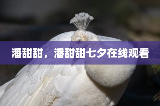 潘甜甜，潘甜甜七夕在线观看