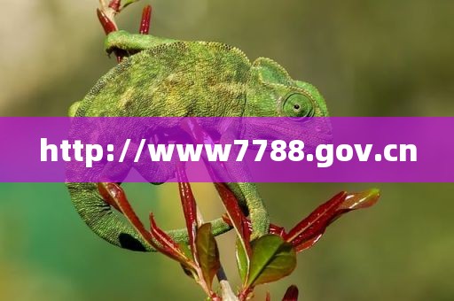 http://www7788.gov.cn