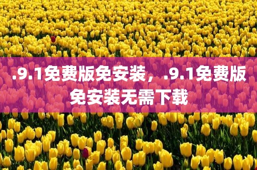 .9.1免费版免安装，.9.1免费版免安装无需下载