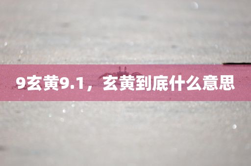 9玄黄9.1，玄黄到底什么意思