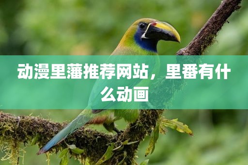 动漫里藩推荐网站，里番有什么动画