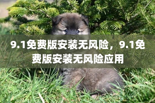9.1免费版安装无风险，9.1免费版安装无风险应用