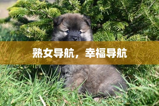 熟女导航，幸福导航