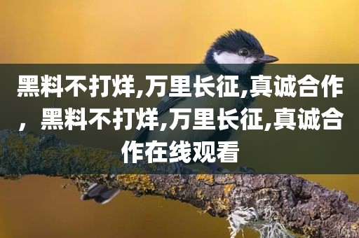 黑料不打烊,万里长征,真诚合作，黑料不打烊,万里长征,真诚合作在线观看