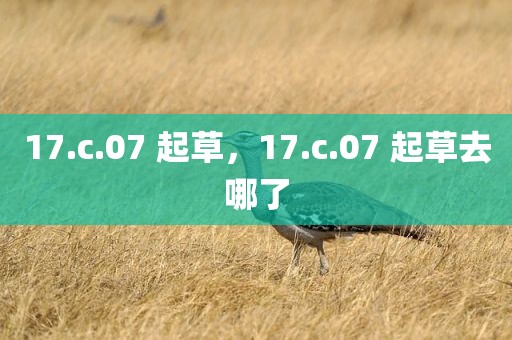 17.c.07 起草，17.c.07 起草去哪了