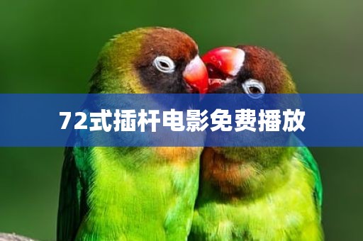72式插杆电影免费播放