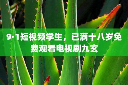 9·1短视频学生，已满十八岁免费观看电视剧九玄