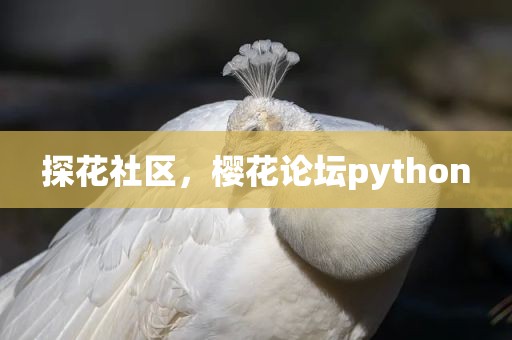 探花社区，樱花论坛python