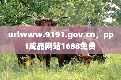 urlwww.9191.gov.cn，ppt成品网站1688免费