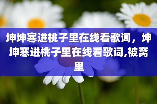 坤坤寒进桃子里在线看歌词，坤坤寒进桃子里在线看歌词,被窝里