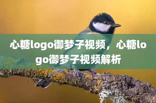心糖logo御梦子视频，心糖logo御梦子视频解析
