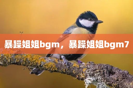 暴躁姐姐bgm，暴躁姐姐bgm7