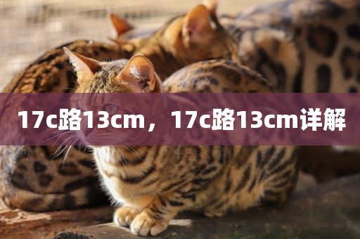 17c路13cm，17c路13cm详解