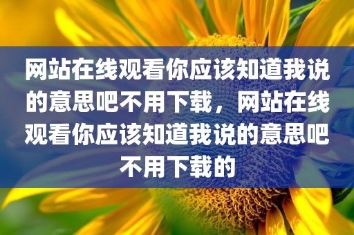 网站在线观看你应该知道我说的意思吧不用下载，网站在线观看你应该知道我说的意思吧不用下载的