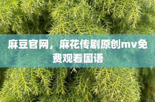 麻豆官网，麻花传剧原创mv免费观看国语