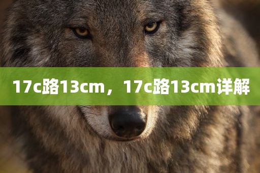 17c路13cm，17c路13cm详解