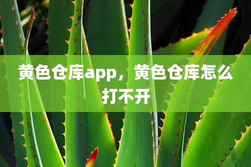 黄色仓库app，黄色仓库怎么打不开