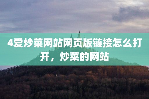 4爱炒菜网站网页版链接怎么打开，炒菜的网站