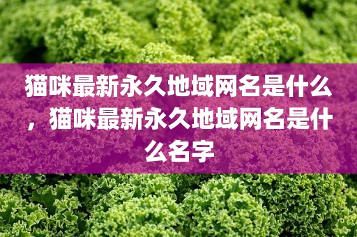 猫咪最新永久地域网名是什么，猫咪最新永久地域网名是什么名字