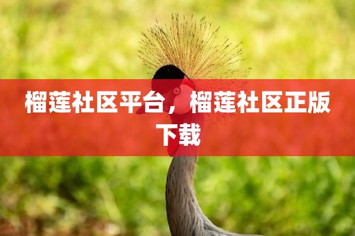 榴莲社区平台，榴莲社区正版下载