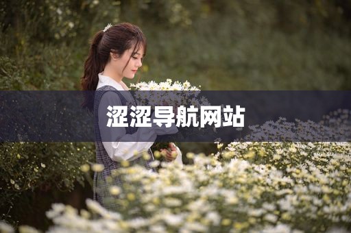 涩涩导航网站