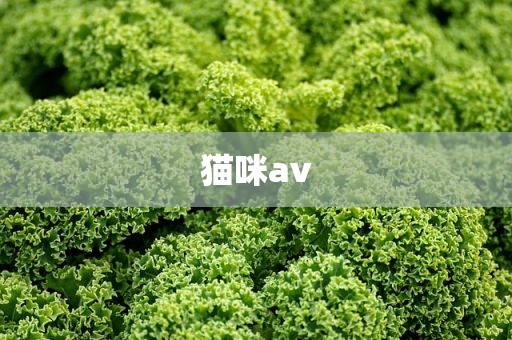 猫咪av