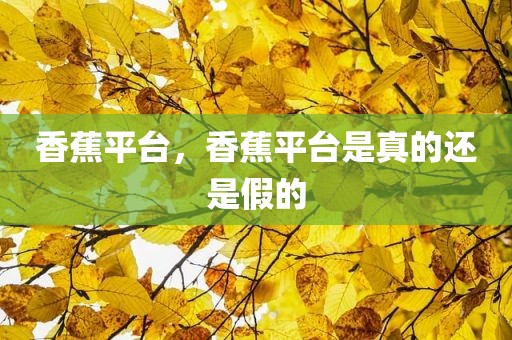 香蕉平台，香蕉平台是真的还是假的