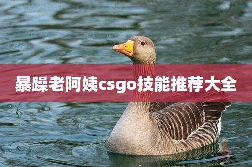 暴躁老阿姨csgo技能推荐大全