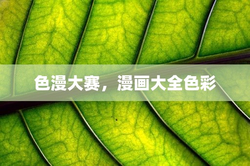 色漫大赛，漫画大全色彩