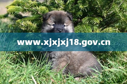 www.xjxjxj18.gov.cn