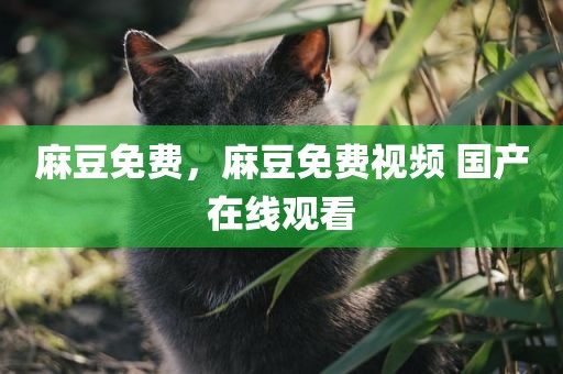 麻豆免费，麻豆免费视频 国产在线观看