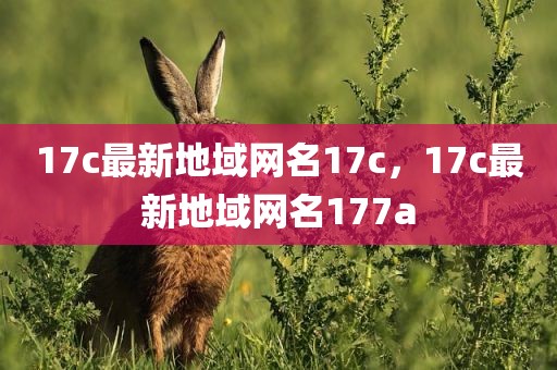 17c最新地域网名17c，17c最新地域网名177a