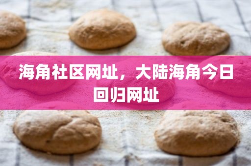 海角社区网址，大陆海角今日回归网址