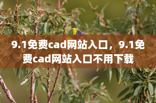 9.1免费cad网站入口，9.1免费cad网站入口不用下载