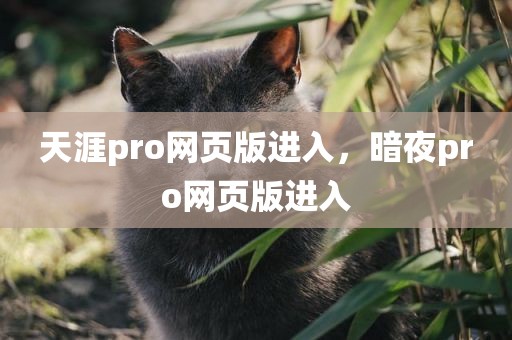 天涯pro网页版进入，暗夜pro网页版进入