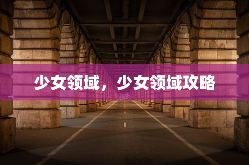 少女领域，少女领域攻略