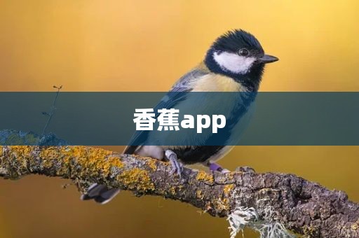 香蕉app