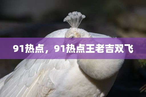 91热点，91热点王老吉双飞