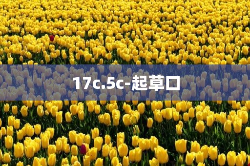 17c.5c-起草口