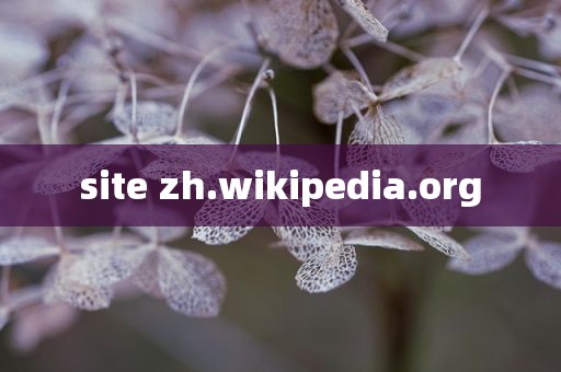 site zh.wikipedia.org