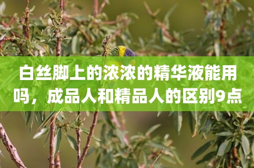 白丝脚上的浓浓的精华液能用吗，成品人和精品人的区别9点