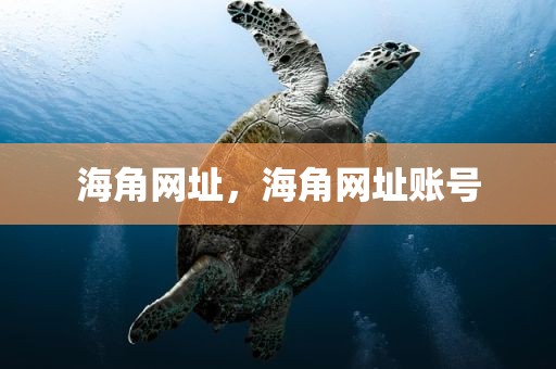 海角网址，海角网址账号