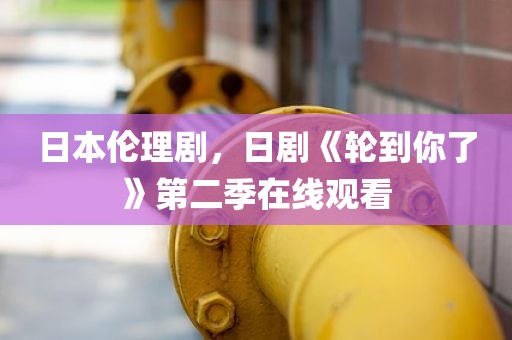 日本伦理剧，日剧《轮到你了》第二季在线观看