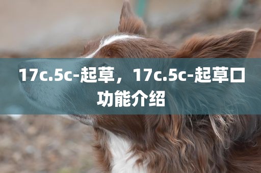 17c.5c-起草，17c.5c-起草口功能介绍
