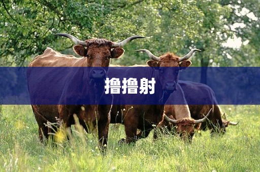 撸撸射