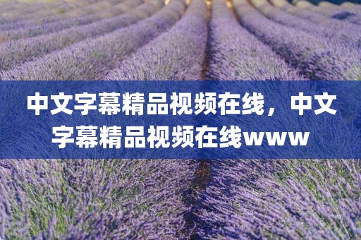 中文字幕精品视频在线，中文字幕精品视频在线www