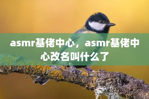 asmr基佬中心，asmr基佬中心改名叫什么了
