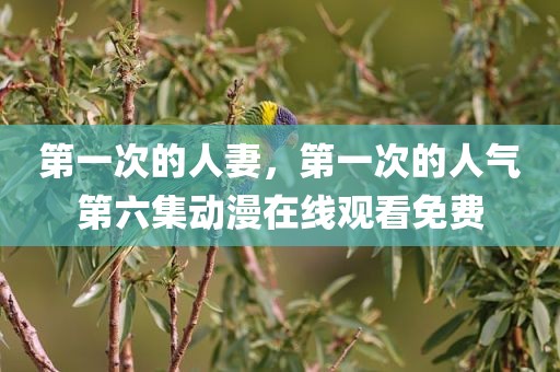 第一次的人妻，第一次的人气第六集动漫在线观看免费