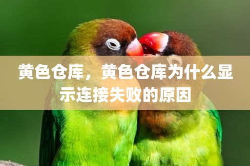 黄色仓库，黄色仓库为什么显示连接失败的原因